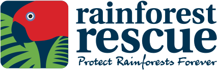 Rainforest Rescue Supporter Webinar
