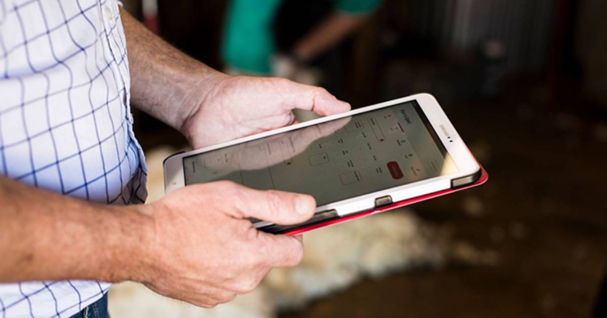 Wool blockchain enabled - AWI and Everledger prove the concept of wool quality protection and tracking through blockchain technology. Image: AWI.