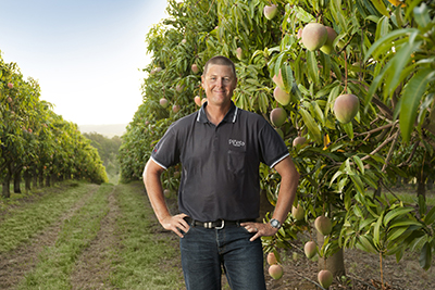 Pinata Farms Gavin Scurr in the famed Honey Gold mangoes orchard.