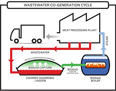 The Wiley biogas system set up for JBS.