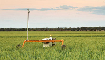 Swarm Farm's un-manned agricultural robot which tend to crops and soil 24 hours a day.