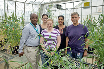 CSIRO's Cereal Rust Prevention team.