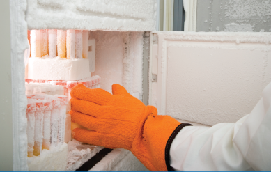 Bluechiips units are 'in situ' with the frozen samples.