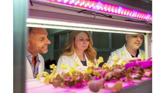 GAIA Project Australia Pty Ltd general manager Adrian Persi (left), Breakthrough Victoria senior director Dr Olga Hogan, and La Trobe University Department of Engineering associate lecturer Adam Console.