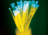 Australia is seeing the fibre optics but not yet seeing the light.