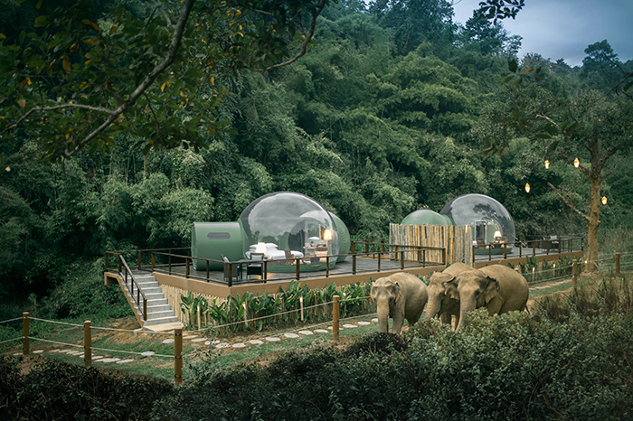 Anantara Golden Triangle Elephant Camp and Resort in northern Thailand is a leader in the field of ethical elephant tourism.