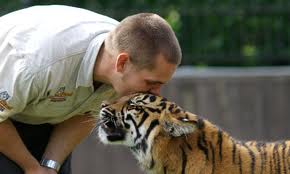 Dreamworld's tiger displays and educational experiences are one of its biggest attractions.